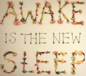 Ben Lee - Awake Is The New Sleep - New West Records