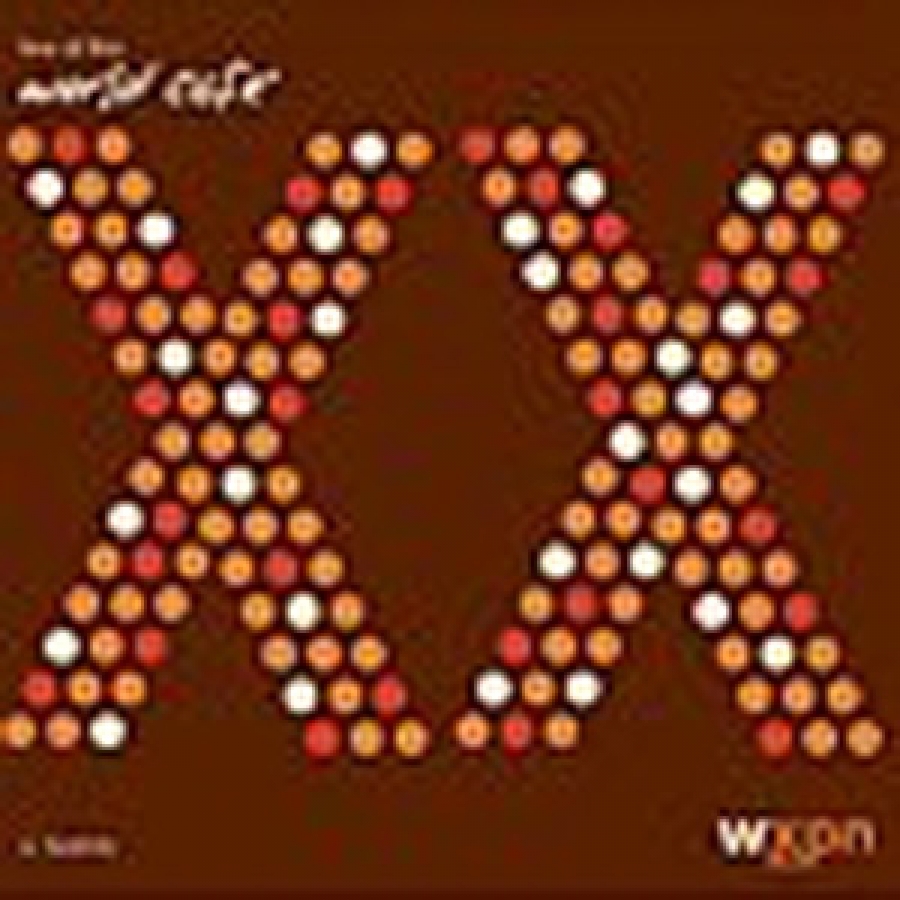 Various Artists - Live at the World Cafe Volume 20 - World Cafe Records